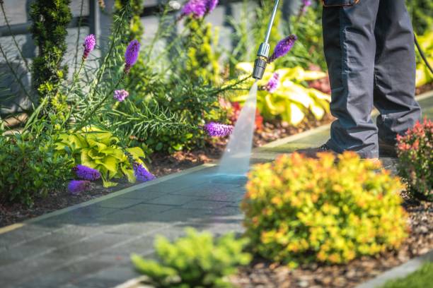 Best Dumpster Area Cleaning  in Highland Park, TX